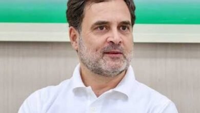 राहुल गांधी के दादा फिरोज गांधी की कब्र पर भाजपा विधायक ने पुष्प अर्पित किए, उपेक्षा पर दिखाया आईना राहुल गांधी के दादा फिरोज गांधी की कब्र पर भाजपा विधायक ने पुष्प अर्पित किए, उपेक्षा पर दिखाया आईना