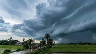 यूपी में फिर एक्टिव हुआ मानसून, 14 जिलों में भारी बारिश और वज्रपात का ऑरेंज अलर्ट