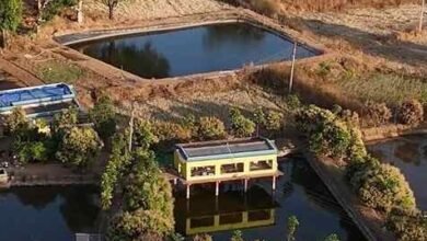 खेत बना आय का केंद्र, नवाचार ने बदली खेती की तस्वीर