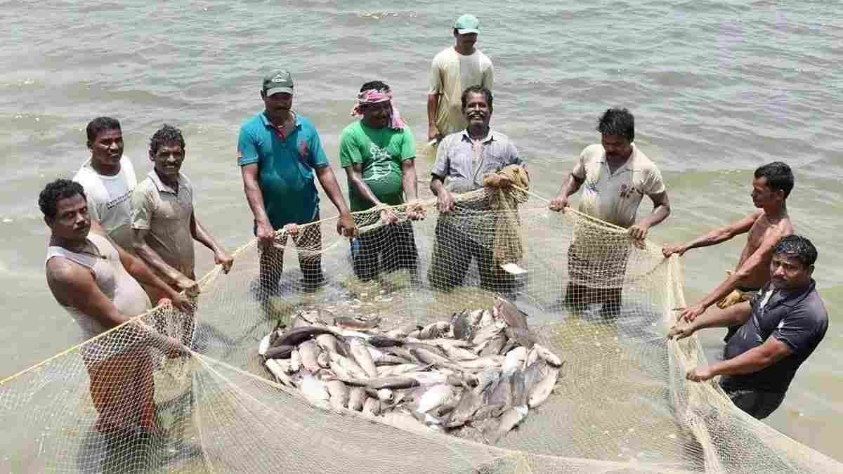 बदली किसानों की किस्मत प्रधानमंत्री मत्स्य संपदा योजना से,पारंपरिक खेती के साथ मछली पालन बन रहा अतिरिक्त आमदनी का मजबूत जरिया बदली किसानों की किस्मत प्रधानमंत्री मत्स्य संपदा योजना से,पारंपरिक खेती के साथ मछली पालन बन रहा अतिरिक्त आमदनी का मजबूत जरिया