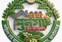 मुनगे से पोषण की बेहतरीन पहल: ‘मन की बात’ में प्रधानमंत्री मोदी ने छत्तीसगढ़ के ‘हर घर मुनगा’ अभियान का किया उल्लेख