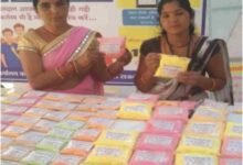 लखपति दीदी डोंगरगढ़ की दिनेश्वरी सोरी ने ‘बिहान’ योजना से बदली तकदीर