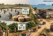 बिहार का निर्यात 18,713 करोड़ पर पहुंचा, मखाना-लीची के बावजूद हिस्सेदारी 0.48%