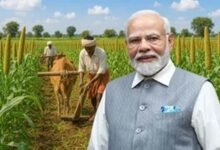 झारखंड को बंजर भूमि विकास के लिए मिलेंगे ₹20 करोड़, मिलेट्स की खेती को मिलेगा बढ़ावा