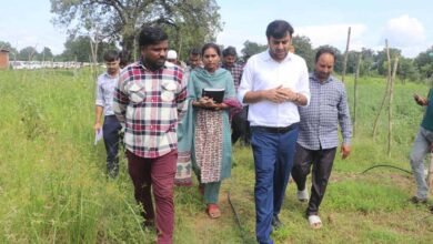 उद्यानिकी खेती के लिए किसानों को प्रोत्साहित करें : कलेक्टर उद्यानिकी खेती के लिए किसानों को प्रोत्साहित करें : कलेक्टर