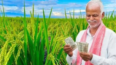 PM Kisan 24वीं किस्त का इंतजार, झारखंड के 19.97 लाख किसानों को अक्टूबर में मिल सकता है पैसा PM Kisan 24वीं किस्त का इंतजार, झारखंड के 19.97 लाख किसानों को अक्टूबर में मिल सकता है पैसा