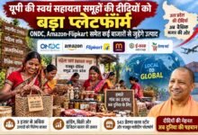 ग्लोबल मार्केट में दिग्गज कंपनियों को टक्कर देंगी यूपी की दीदियां, 3 हजार से ज्यादा उत्पादों को मिलेगा बाजार