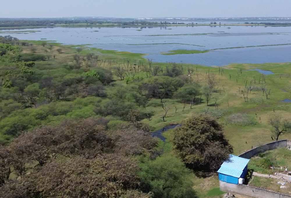 भोपाल के बड़ा तालाब-कलियासोत किनारे कब्जों पर NGT में आज सुनवाई, सर्वे रिपोर्ट होगी पेश भोपाल के बड़ा तालाब-कलियासोत किनारे कब्जों पर NGT में आज सुनवाई, सर्वे रिपोर्ट होगी पेश