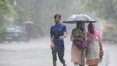 यूपी में 5 सितंबर तक झमाझम बारिश का दौर, 1 सितंबर को 11 जिलों में भारी से बहुत भारी बारिश का अलर्ट