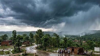 झारखंड में फिर सक्रिय हुआ मानसून, 7 जिलों में भारी बारिश का अलर्ट; रांची में 13 मिमी बारिश