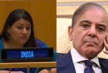 UN में भारत का पाकिस्तान को करारा जवाब, पेटल गहलोत बोलीं- आतंकवाद के गंभीर परिणाम होंगे