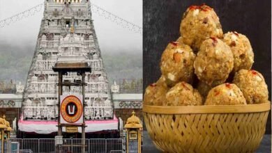 तिरुपति लड्डू के घी में कथित मिलावट, पाम ऑयल इस्तेमाल होने का आरोप तिरुपति लड्डू के घी में कथित मिलावट, पाम ऑयल इस्तेमाल होने का आरोप