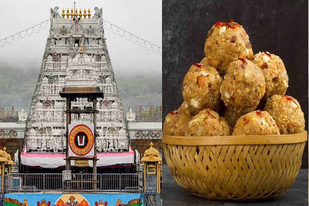 तिरुपति लड्डू के घी में कथित मिलावट, पाम ऑयल इस्तेमाल होने का आरोप तिरुपति लड्डू के घी में कथित मिलावट, पाम ऑयल इस्तेमाल होने का आरोप