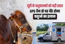 गोवंश को तुरंत मिलेगा उपचार, हर जिले में बनेगा इमरजेंसी रेस्क्यू सिस्टम