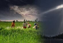 सितंबर में भी सुस्त रहेगा मॉनसून! अगस्त की गर्मी ने तोड़ा 125 साल का रिकॉर्ड, अल नीनो का असर