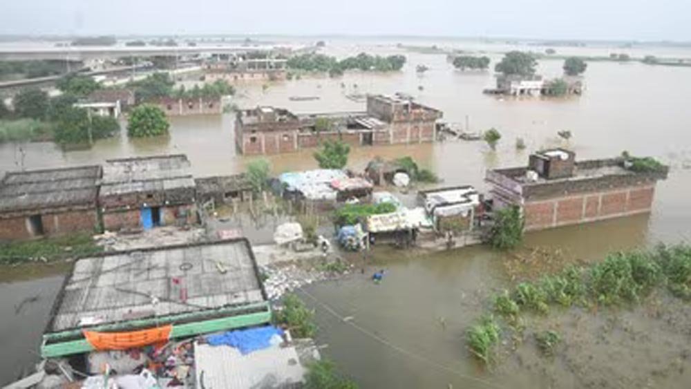 पटना में बाढ़ का हाहाकार! खतरे के निशान से 2 मीटर ऊपर गंगा, डूबे सैकड़ों घर पटना में बाढ़ का हाहाकार! खतरे के निशान से 2 मीटर ऊपर गंगा, डूबे सैकड़ों घर