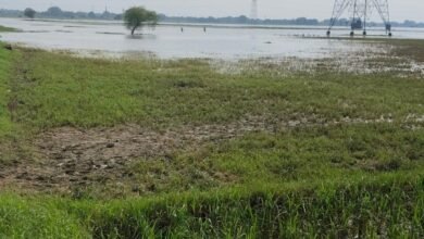 बाढ़ में फसल बर्बाद होने पर बीमा कंपनी ने रोका दावा, किसान को मिलेंगे 1.48 लाख से अधिक