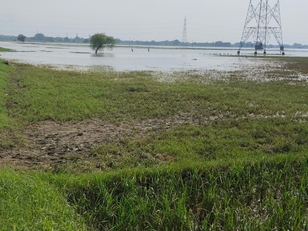 बाढ़ में फसल बर्बाद होने पर बीमा कंपनी ने रोका दावा, किसान को मिलेंगे 1.48 लाख से अधिक बाढ़ में फसल बर्बाद होने पर बीमा कंपनी ने रोका दावा, किसान को मिलेंगे 1.48 लाख से अधिक