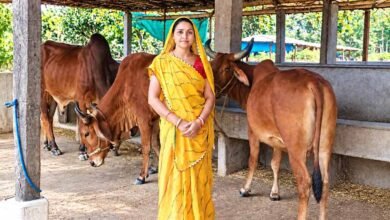 स्व सहायता समूह से जुड़कर आत्मनिर्भर बनीं मीना दीदी