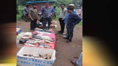 खुले में मछली विक्रय पर नगर पालिका की कार्रवाई, छह दुकानदारों पर 1,500 रुपये जुर्माना खुले में मछली विक्रय पर नगर पालिका की कार्रवाई, छह दुकानदारों पर 1,500 रुपये जुर्माना