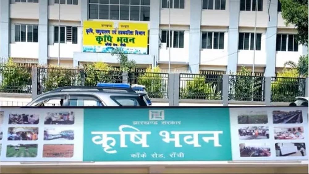 झारखंड में ब्लैकलिस्ट 14 कंपनियों को फिर कार्यादेश देने की जांच, DC को सौंपी जिम्मेदारी झारखंड में ब्लैकलिस्ट 14 कंपनियों को फिर कार्यादेश देने की जांच, DC को सौंपी जिम्मेदारी