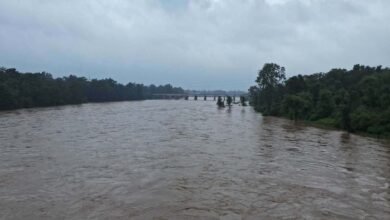 झारखंड में भारी बारिश से बिगड़े हालात, सोन नदी का जलस्तर बढ़ा, प्रशासन अलर्ट झारखंड में भारी बारिश से बिगड़े हालात, सोन नदी का जलस्तर बढ़ा, प्रशासन अलर्ट