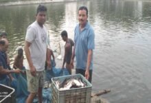 0.40 हेक्टेयर में गुलाब पटेल ने लिखा मछली पालन से समृद्धि का नया अध्याय