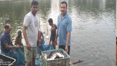 0.40 हेक्टेयर में गुलाब पटेल ने लिखा मछली पालन से समृद्धि का नया अध्याय 0.40 हेक्टेयर में गुलाब पटेल ने लिखा मछली पालन से समृद्धि का नया अध्याय