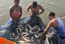 मत्स्य पालन से संवरी गांधीराम की ज़िंदगी