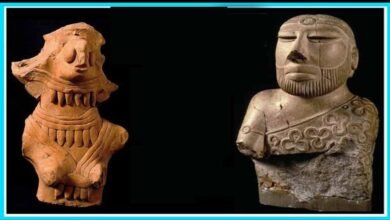 इंदौर में दिखेगा सिंध का 1800 साल पुराना इतिहास, दुर्लभ सिक्के होंगे खास आकर्षण