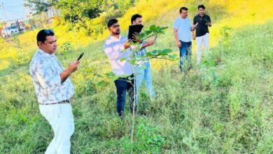 महिलाओं ने संवारा हरित अभियान, 2170 पौधों की अब जियो ट्रैकिंग से होगी निगरानी महिलाओं ने संवारा हरित अभियान, 2170 पौधों की अब जियो ट्रैकिंग से होगी निगरानी