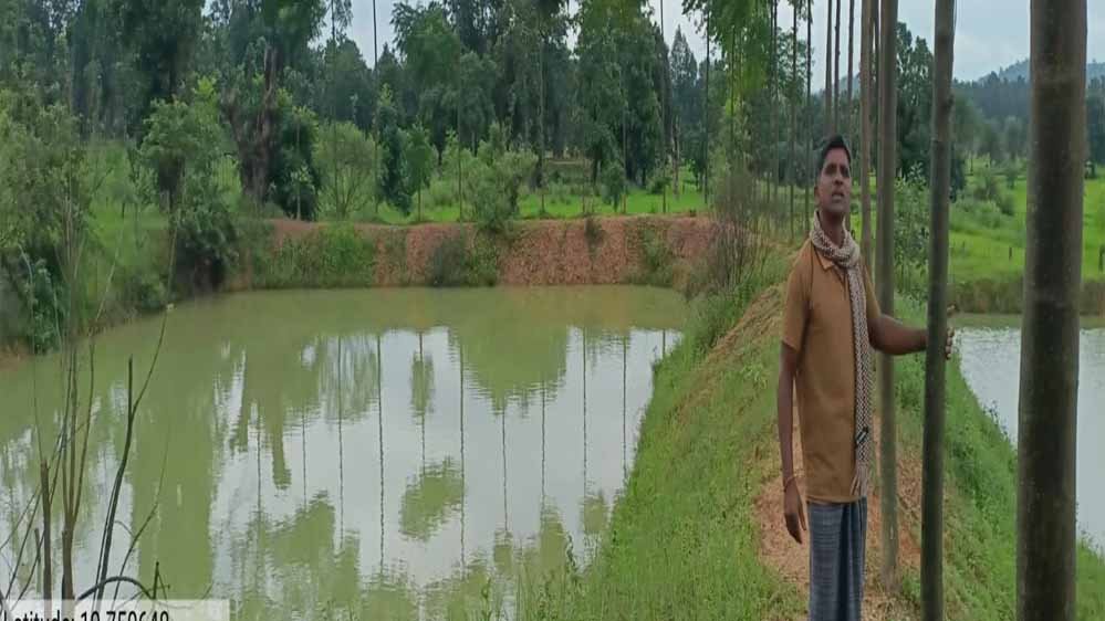 मावा मीन अभियान- नारायणपुर के ग्रामीण अंचल में आजीविका की नई क्रांति मावा मीन अभियान- नारायणपुर के ग्रामीण अंचल में आजीविका की नई क्रांति