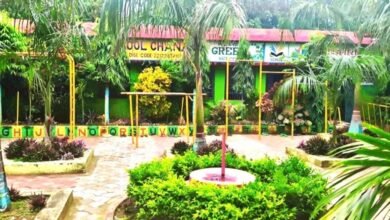 पीएमश्री स्कूल के उन्नयन से महासमुंद के शासकीय प्राथमिक शाला चनाट का हुआ कायाकल्प पीएमश्री स्कूल के उन्नयन से महासमुंद के शासकीय प्राथमिक शाला चनाट का हुआ कायाकल्प