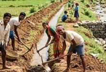 झारखंड में 125 दिन रोजगार की गारंटी, सरकार ने नई ग्रामीण योजना की अधिसूचना जारी की