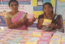 लखपति दीदी डोंगरगढ़ की दिनेश्वरी सोरी ने ‘बिहान’ योजना से बदली तकदीर