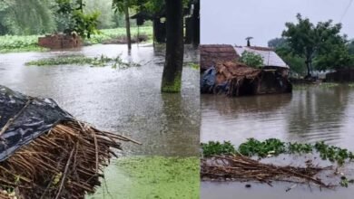 यूपी के फतेहपुर में बारिश का कहर, 67 मकान ढहे; 3 लोगों की मौत यूपी के फतेहपुर में बारिश का कहर, 67 मकान ढहे; 3 लोगों की मौत
