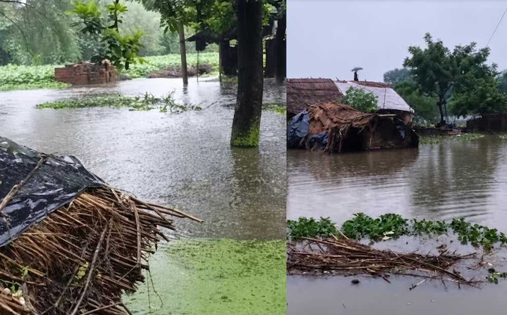 यूपी के फतेहपुर में बारिश का कहर, 67 मकान ढहे; 3 लोगों की मौत यूपी के फतेहपुर में बारिश का कहर, 67 मकान ढहे; 3 लोगों की मौत