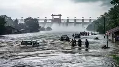 MP Weather: मानसून ने मचाई आफत, नर्मदापुरम-छिंदवाड़ा में रेड अलर्ट; बरगी डैम के गेट खुले MP Weather: मानसून ने मचाई आफत, नर्मदापुरम-छिंदवाड़ा में रेड अलर्ट; बरगी डैम के गेट खुले