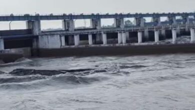 यूपी में भारी बारिश से उफनी नदियां, 7 जिलों में बाढ़ का अलर्ट यूपी में भारी बारिश से उफनी नदियां, 7 जिलों में बाढ़ का अलर्ट