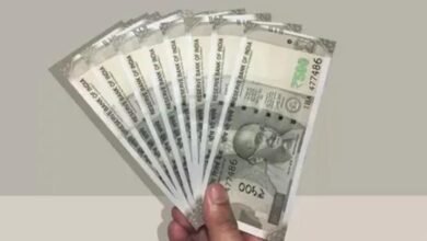 वृद्धावस्था पेंशन में बड़ा बदलाव, अब ₹3,000 की राशि दो किस्तों में सीधे खाते में आएगी वृद्धावस्था पेंशन में बड़ा बदलाव, अब ₹3,000 की राशि दो किस्तों में सीधे खाते में आएगी