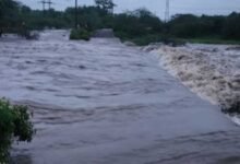 MP-छत्तीसगढ़ का संपर्क टूटा, शहडोल में बारिश बनी आफत; बाणसागर के 8 गेट खुले