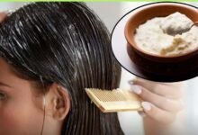 बालों की चमक और सॉफ्टनेस के लिए लगाएं दही, इन 3 तरीकों से करें इस्तेमाल