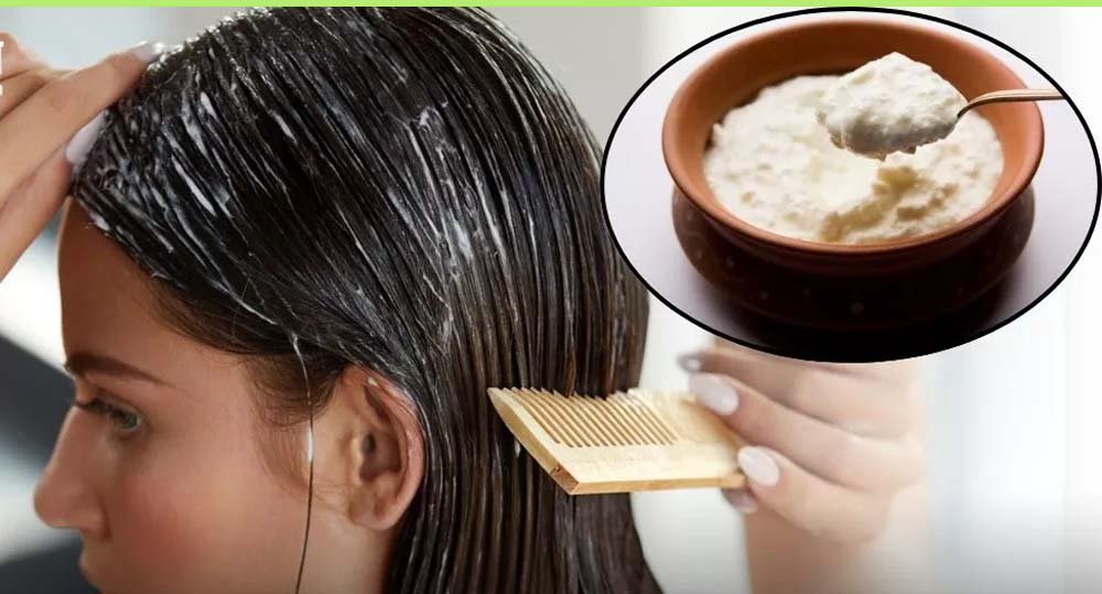 बालों की चमक और सॉफ्टनेस के लिए लगाएं दही, इन 3 तरीकों से करें इस्तेमाल बालों की चमक और सॉफ्टनेस के लिए लगाएं दही, इन 3 तरीकों से करें इस्तेमाल