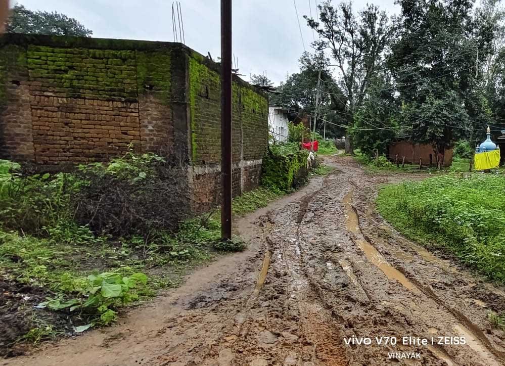 वार्ड क्रमांक 15 में सड़क नहीं, कीचड़ से गुजरने को मजबूर वार्डवासी वार्ड क्रमांक 15 में सड़क नहीं, कीचड़ से गुजरने को मजबूर वार्डवासी