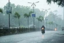 मध्य प्रदेश में मानसून अभी सक्रिय: विंध्य, बुंदेलखंड और महाकौशल में बारिश की चेतावनी।