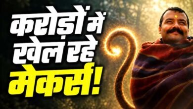 ₹1.5 करोड़ की फिल्म ने कमाए ₹366 करोड़, प्रोड्यूसर को मिल सकते हैं ₹50 करोड़!