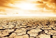 खतरे की घंटी! 2100 तक 40% धरती बन सकती है रेगिस्तान, इंसानों से लेकर पेड़-पौधों तक पर मंडराएगा संकट