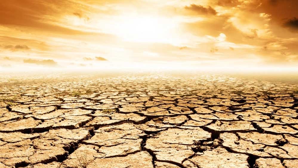 खतरे की घंटी! 2100 तक 40% धरती बन सकती है रेगिस्तान, इंसानों से लेकर पेड़-पौधों तक पर मंडराएगा संकट खतरे की घंटी! 2100 तक 40% धरती बन सकती है रेगिस्तान, इंसानों से लेकर पेड़-पौधों तक पर मंडराएगा संकट