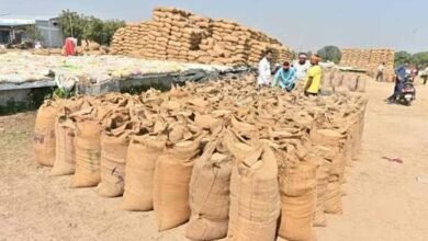 सुकमा में खुलेंगे 6 नए धान खरीदी केंद्र, किसानों को मिलेगी बड़ी सुविधा