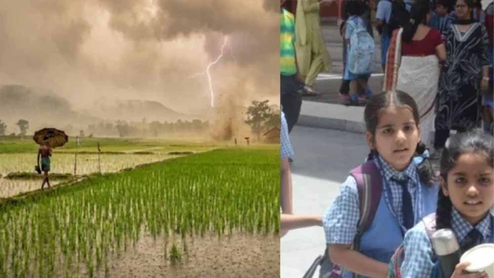 CG में भारी बारिश से स्कूल बंद, DEO ने जारी किया आदेश CG में भारी बारिश से स्कूल बंद, DEO ने जारी किया आदेश